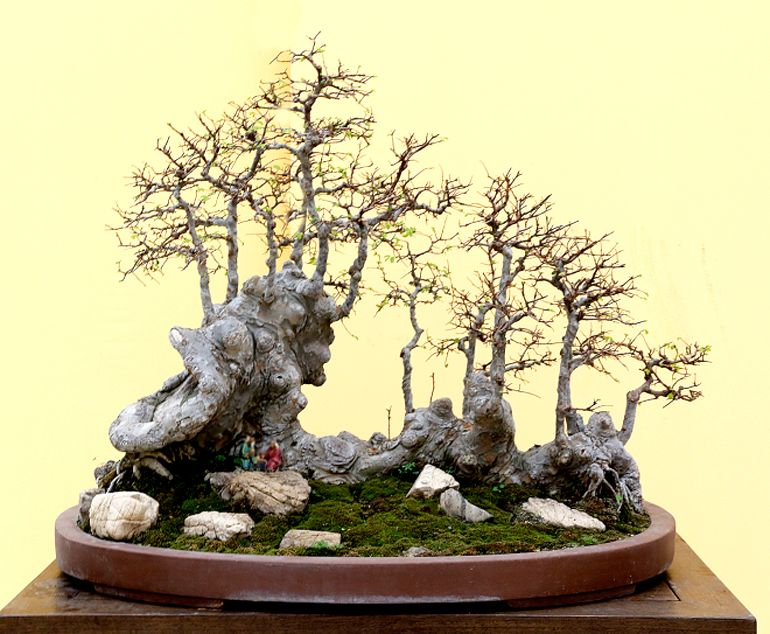 Penjing Sanatı