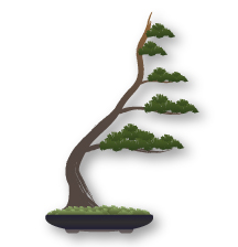 Windswept Bonsai