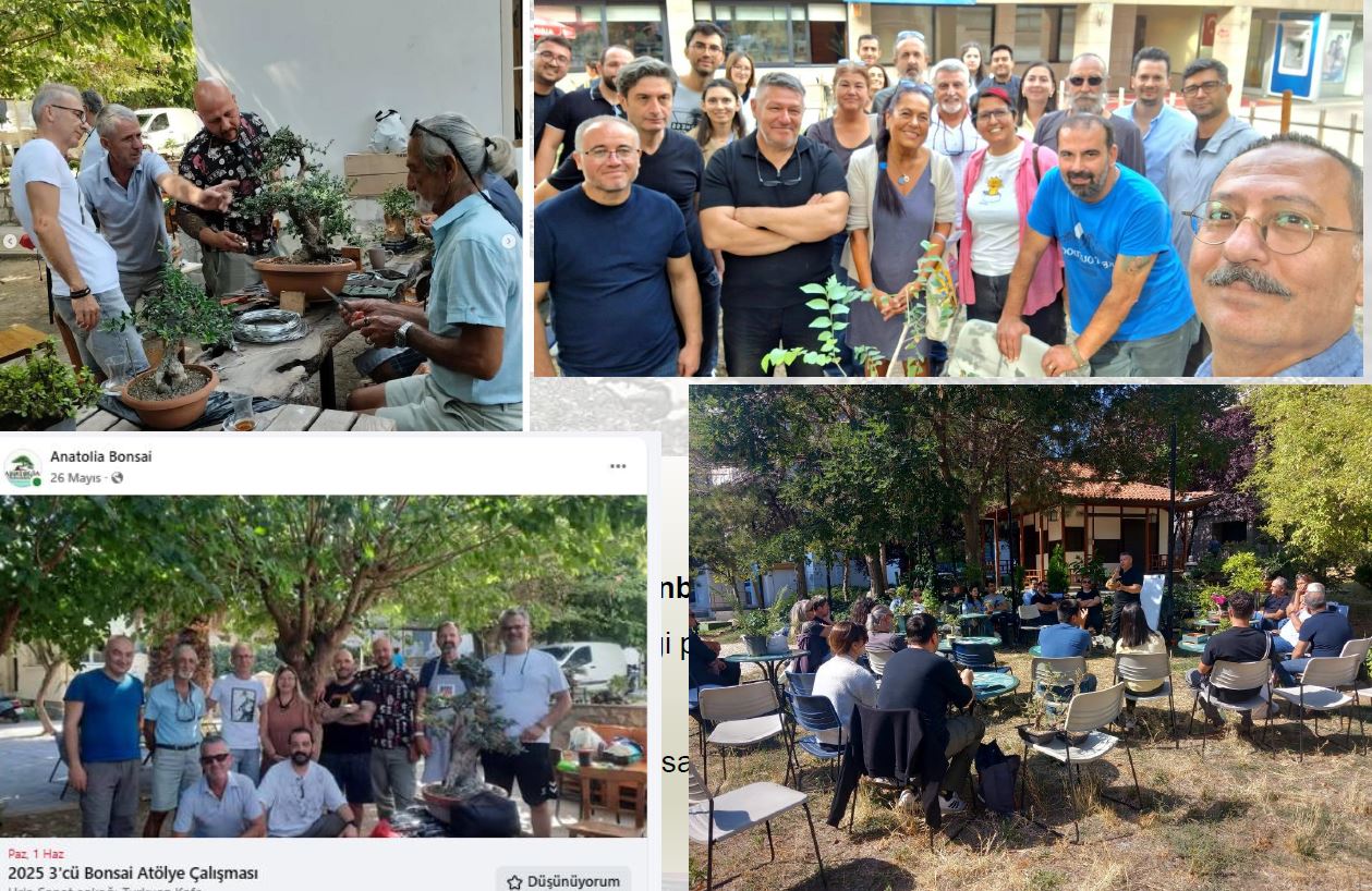 Bonsai Toplulukları