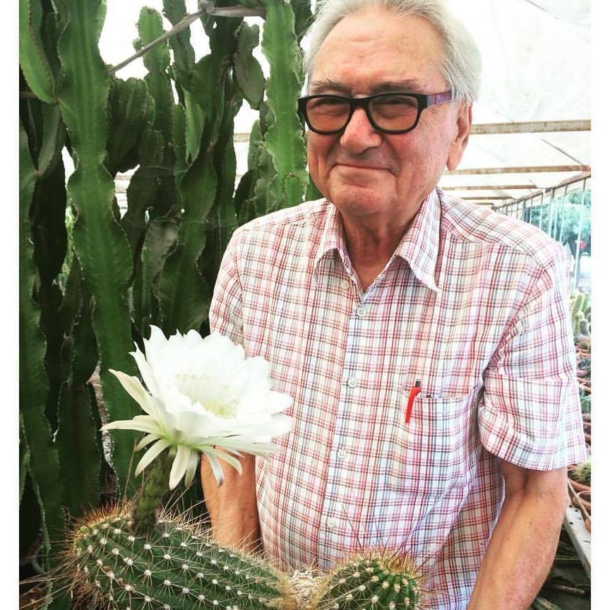 İzmir Ünal Kaktüs Bonsai Sergisi